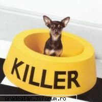 Discutii Generale - aceasta este surpiza mea TheKiller :) apropo - Oradea-Lan