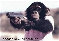 Discutii Generale - z1p esti frumos ... :X - Oradea-Lan